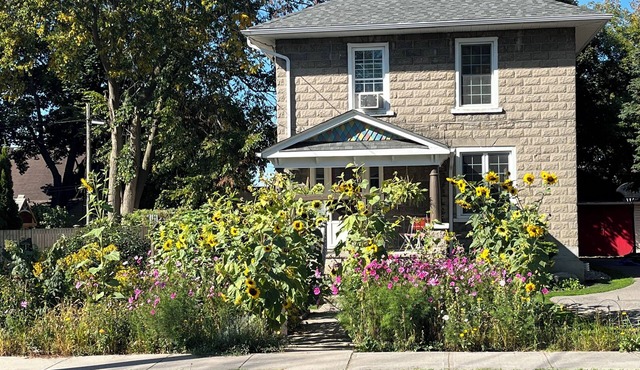 Beautiful house with room for families/groups, near nature parks and PEC!