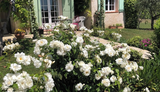 Beautiful House with excellent garden and pool. Three bedrooms,