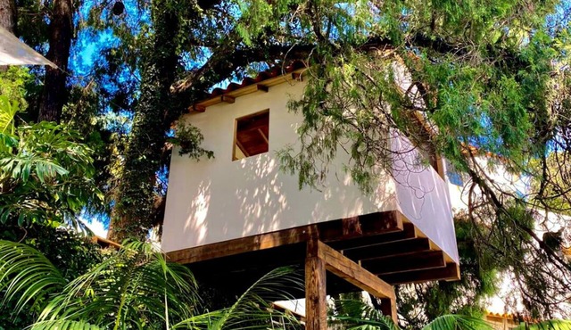 Beautiful house with private pool and gorgeous gardens. Pet Friendly!