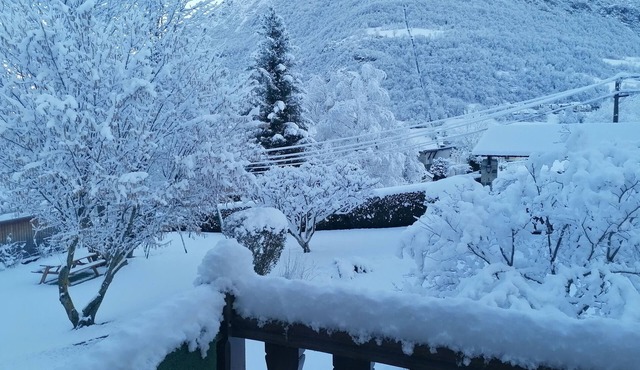 Beautiful, independent, quiet apartment