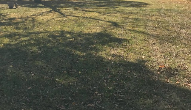 Beautiful island retreat with quiet well landscaped surroundings