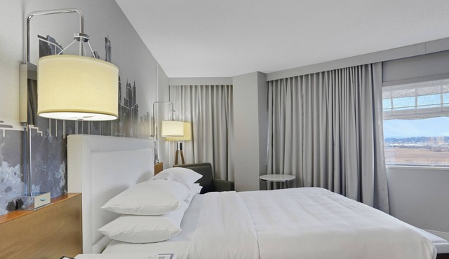 Beautiful King Hotel Room