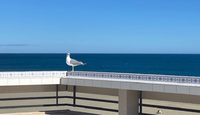 Beautiful luxury apartment Superb Sea View with large terrace
