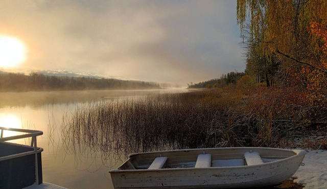 Beautiful Lake! Cute Cabins! 6 Bedrooms, 3 Baths. Outdoor Lounge with Fire Pit!