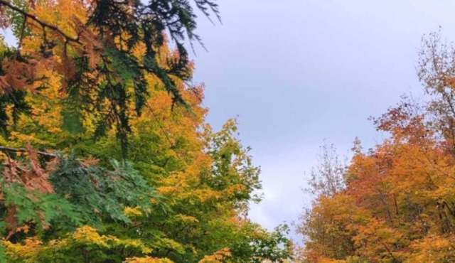 Beautiful Lake Front Cottage