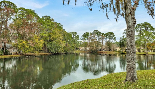 Beautiful Lake Mandarin Home