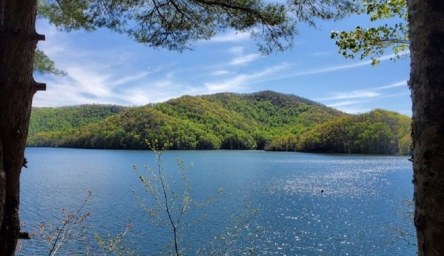Beautiful Lake Nantahala Home-Lakefront with Amazing Views-Private Dock+Boat