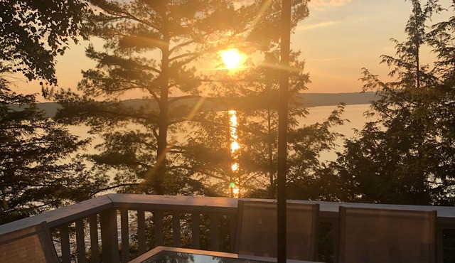 Beautiful Lake of Bays Cottage w/310' Private Shoreline & All Day Sun!