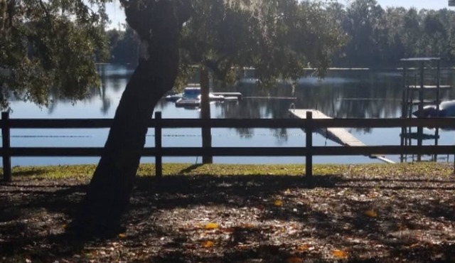 Beautiful lake front property with fully furnished cabins!