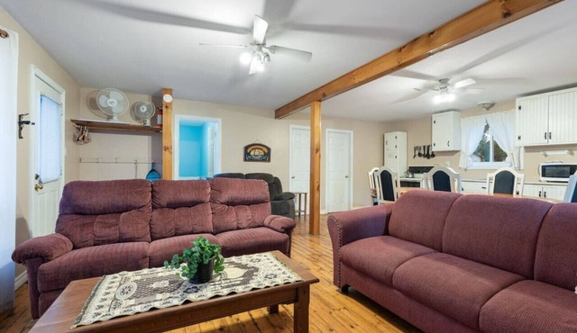 Beautiful Lake Views in Nature