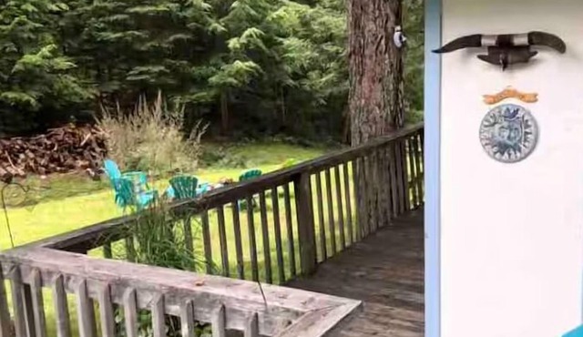 Beautiful Lakefront Algonquin Experience
