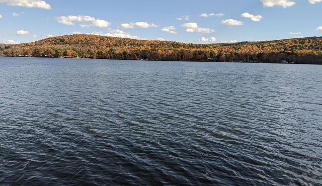 Beautiful lakefront home in the heart of Finger Lakes wine country