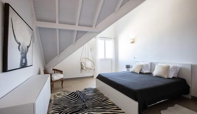 Beautiful large apartment on La Place du Village