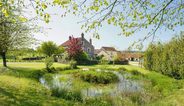 Beautiful large family house near Bruton