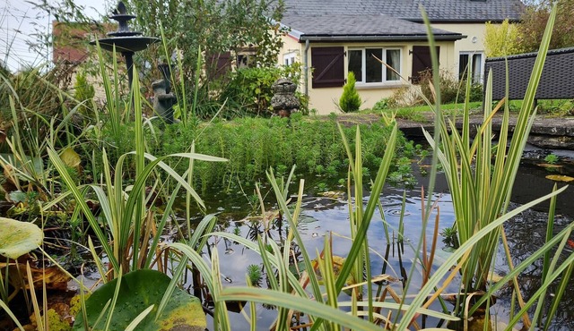 Beautiful, large relaxing holiday home set in beautiful rural Basse Normandy