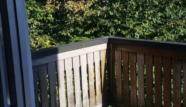 Beautiful, large, sunny 1.5 room studio (50 sqm); family-friendly