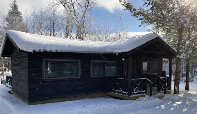 Beautiful Log Cabin in Wooded lot on Little Toad Lake