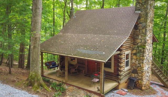 Beautiful log cabin with AC and WiFi in gorgeous Burnsville.
