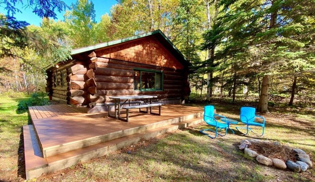 Beautiful log cabin on a private wooded lot - LAKE ADA & SNOWMOBILE TRAILS