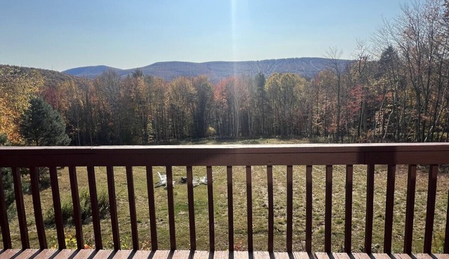 Beautiful Log Ski Cabin w/Belleayre Mtn Views