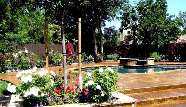 Beautiful, Luxurious, Resort Like Home in Sherwood Forest, California