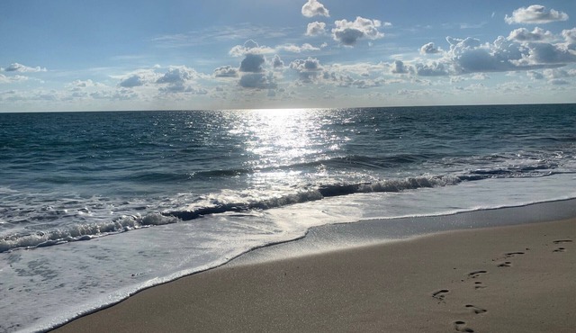 Beautiful marina views, manatees and private beach in the Moorings of Vero!