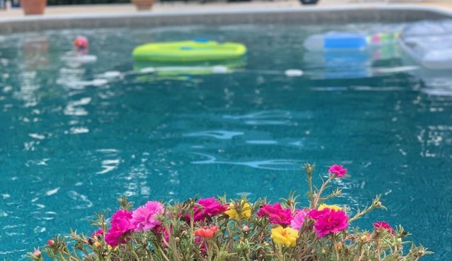 Beautiful mid-century ranch with POOL!