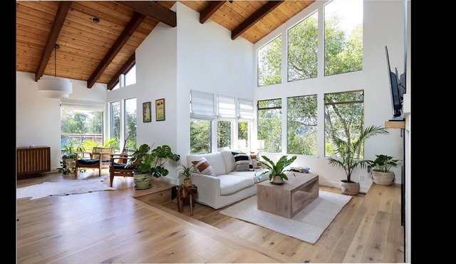 Beautiful Mid-century Modern retreat in hills of Aptos, 10 minute drive to beach