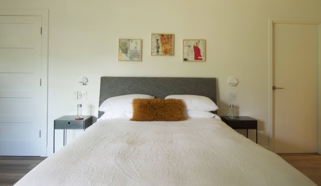 Beautiful modern design with garden views