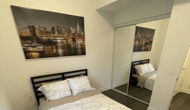 Beautiful Modern townhome in heart of downtown Toronto