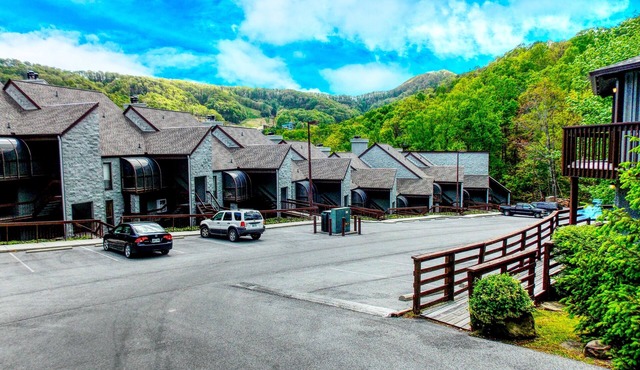 Beautiful Mountain Condo - isolated, secluded and just 8 minutes from downtown !