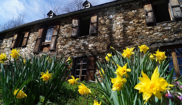 Beautiful mountain house in the heart of Regional Natural Park of the Pyrenees Ariègois