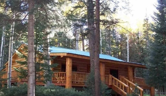 BEAUTIFUL MOUNTAIN LOG CABINnPETS ALLOWED