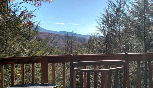 Beautiful Mountain View! WiFi & Linens included. Between Stoplights 1 and 2A