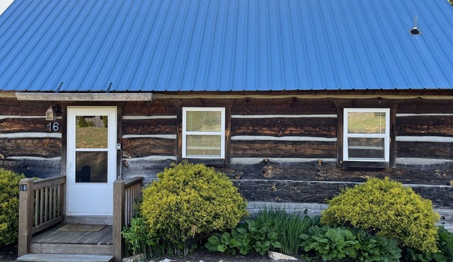 Beautiful Mountain View Cabin near BRPW, Floyd VA, and Wineries!