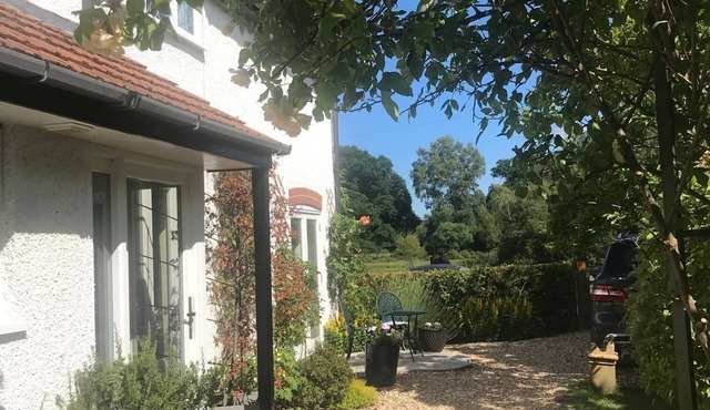 Beautiful New Forest cottage with direct forest access. Ponies at the gate!