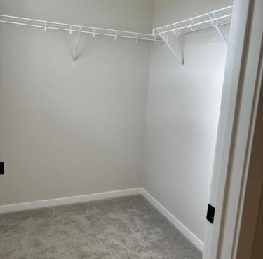 Beautiful New House in Alpine Park, Calgary