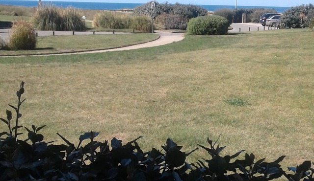 Beautiful newly furnished beachfront apartment