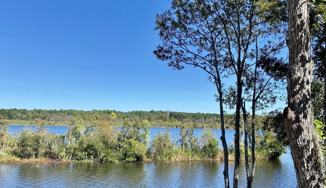 Beautiful newly renovated waterfront home