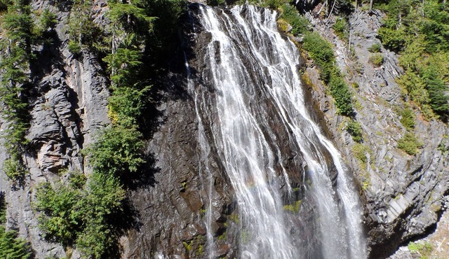 Beautiful Northwest Lodging - Mountainside Chalet "Tiny House" - Honeymoon for 2