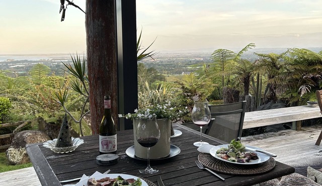 Beautiful Ocean View from Waihi Beach - Mt Maunganui Private Rustic country home