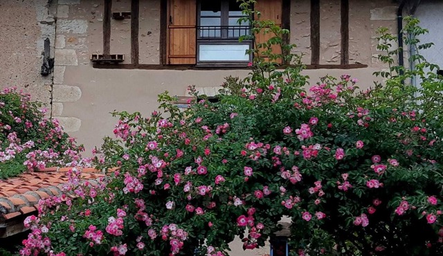 Beautiful old house in the heart of one of France's most beautiful villages