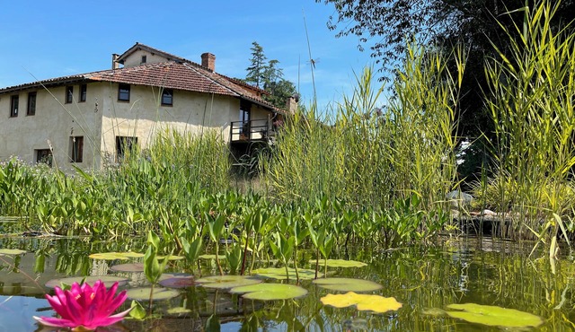 Beautiful old watermill with natural swimming pool. Only 50 minutes to Toulouse