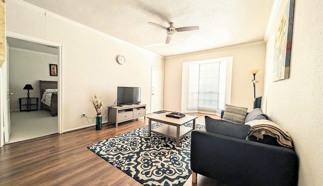 Beautiful One Bed, 10+ years Superhost, Vicinity of MD Anderson, TMC, Rice U.