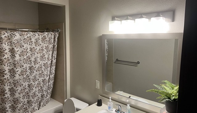 Beautiful one bedroom apartment