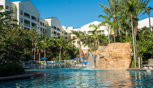 Beautiful one bedroom apartment in Weston FloridaI’m