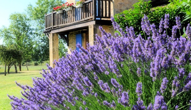 Beautiful Périgourdine house for a nature break near Bergerac