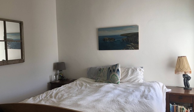 Beautiful Pacific Heights Home