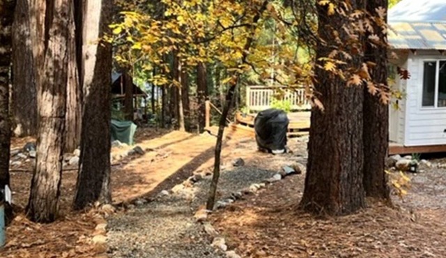 Beautiful, Peaceful Family and Pet Friendly Cabin in Woods. Sleeps 10.