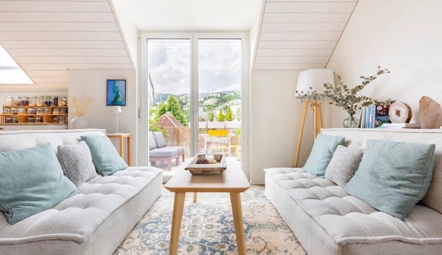 Beautiful Penthouse 20 min from Zürich